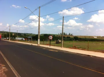 Comprar Terreno / &Aacute;rea em Fernand&oacute;polis R$ 7.000.000,00 - Foto 3