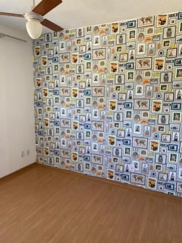 Alugar Apartamento / Padr&atilde;o em S&atilde;o Jos&eacute; do Rio Preto R$ 980,00 - Foto 10