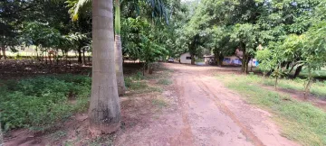 Comprar Rural / Ch&aacute;cara em S&atilde;o Jos&eacute; do Rio Preto R$ 700.000,00 - Foto 4