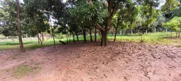 Comprar Rural / Ch&aacute;cara em S&atilde;o Jos&eacute; do Rio Preto R$ 700.000,00 - Foto 8