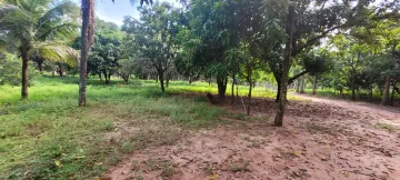 Comprar Rural / Ch&aacute;cara em S&atilde;o Jos&eacute; do Rio Preto R$ 700.000,00 - Foto 10