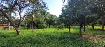 Comprar Rural / Ch&aacute;cara em S&atilde;o Jos&eacute; do Rio Preto R$ 700.000,00 - Foto 13