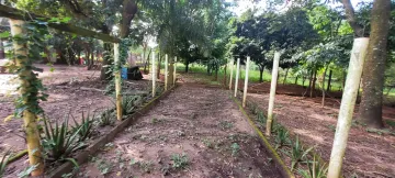 Comprar Rural / Ch&aacute;cara em S&atilde;o Jos&eacute; do Rio Preto R$ 700.000,00 - Foto 14