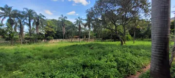 Comprar Rural / Ch&aacute;cara em S&atilde;o Jos&eacute; do Rio Preto R$ 700.000,00 - Foto 15