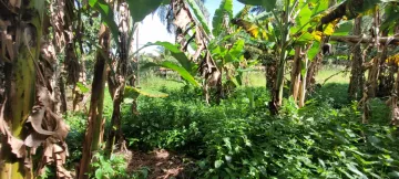 Comprar Rural / Ch&aacute;cara em S&atilde;o Jos&eacute; do Rio Preto R$ 700.000,00 - Foto 16