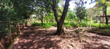 Comprar Rural / Ch&aacute;cara em S&atilde;o Jos&eacute; do Rio Preto R$ 700.000,00 - Foto 17
