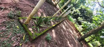 Comprar Rural / Ch&aacute;cara em S&atilde;o Jos&eacute; do Rio Preto R$ 700.000,00 - Foto 18