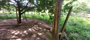 Comprar Rural / Ch&aacute;cara em S&atilde;o Jos&eacute; do Rio Preto R$ 700.000,00 - Foto 23