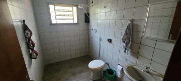 Comprar Rural / Ch&aacute;cara em S&atilde;o Jos&eacute; do Rio Preto R$ 700.000,00 - Foto 35