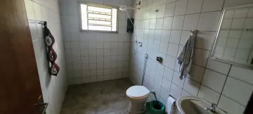 Comprar Rural / Ch&aacute;cara em S&atilde;o Jos&eacute; do Rio Preto R$ 700.000,00 - Foto 36
