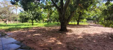 Comprar Rural / Ch&aacute;cara em S&atilde;o Jos&eacute; do Rio Preto R$ 700.000,00 - Foto 49