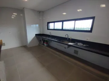 Alugar Comercial / Sal&atilde;o em S&atilde;o Jos&eacute; do Rio Preto R$ 11.700,00 - Foto 14