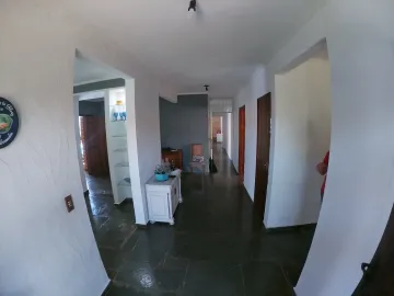 Comprar Casa / Padr&atilde;o em S&atilde;o Jos&eacute; do Rio Preto - Foto 8