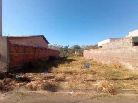 Comprar Terreno / Padr&atilde;o em Bady Bassitt R$ 80.000,00 - Foto 2