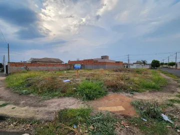 Terreno / Padr&atilde;o em S&atilde;o Jos&eacute; do Rio Preto 