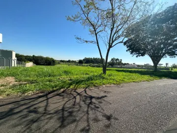 Comprar Terreno / Condom&iacute;nio em S&atilde;o Jos&eacute; do Rio Preto R$ 800.000,00 - Foto 3
