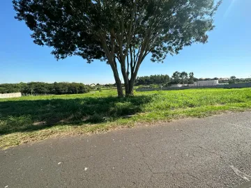 Comprar Terreno / Condom&iacute;nio em S&atilde;o Jos&eacute; do Rio Preto R$ 800.000,00 - Foto 5