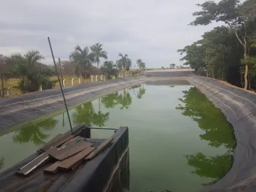 Comprar Rural / S&iacute;tio em Zacarias R$ 1.000.000,00 - Foto 6