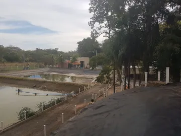 Comprar Rural / S&iacute;tio em Zacarias R$ 1.000.000,00 - Foto 10