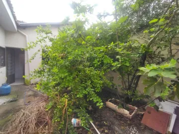 Comprar Casa / Padr&atilde;o em S&atilde;o Jos&eacute; do Rio Preto R$ 280.000,00 - Foto 14
