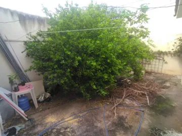 Comprar Casa / Padr&atilde;o em S&atilde;o Jos&eacute; do Rio Preto R$ 280.000,00 - Foto 15