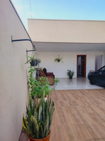 Alugar Casa / Padr&atilde;o em Cedral. apenas R$ 300.000,00