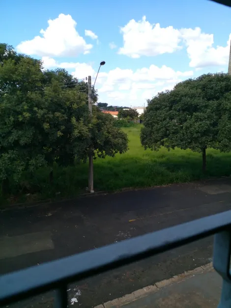 Alugar Casa / Padr&atilde;o em S&atilde;o Jos&eacute; do Rio Preto R$ 2.000,00 - Foto 12
