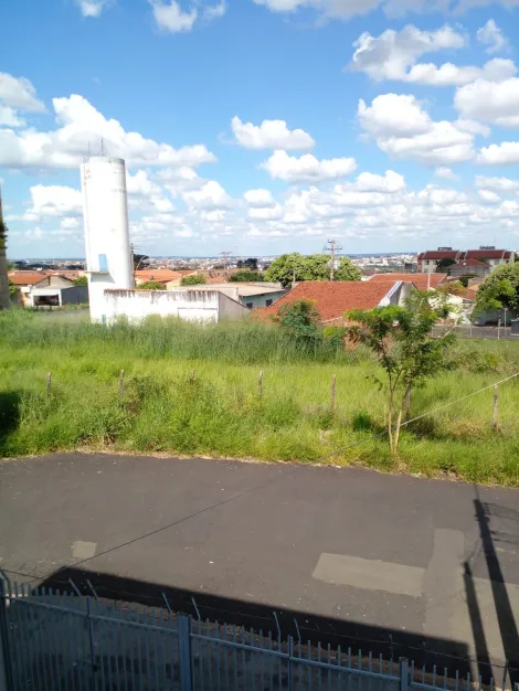 Alugar Casa / Padr&atilde;o em S&atilde;o Jos&eacute; do Rio Preto R$ 2.000,00 - Foto 14
