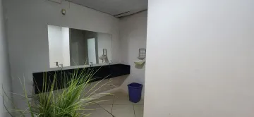 Comprar Rural / Ch&aacute;cara em S&atilde;o Jos&eacute; do Rio Preto R$ 1.400.000,00 - Foto 19