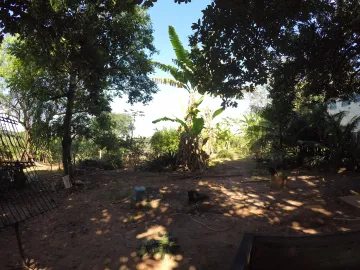 Comprar Terreno / &Aacute;rea em S&atilde;o Jos&eacute; do Rio Preto R$ 10.000.000,00 - Foto 18