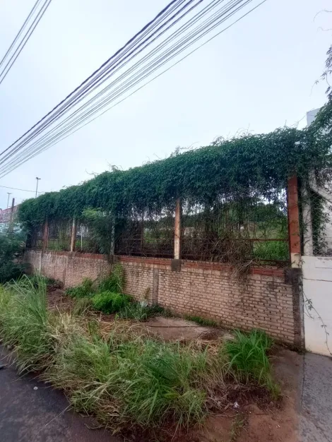 Comprar Terreno / &Aacute;rea em S&atilde;o Jos&eacute; do Rio Preto R$ 1.600.000,00 - Foto 14