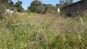 Comprar Terreno / &Aacute;rea em S&atilde;o Jos&eacute; do Rio Preto R$ 1.600.000,00 - Foto 7