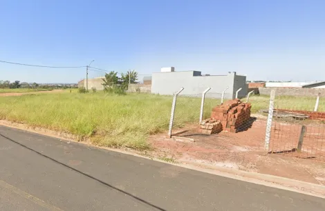 Terreno / Padr&atilde;o em S&atilde;o Jos&eacute; do Rio Preto 