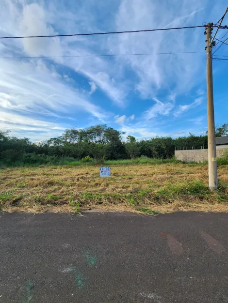 Comprar Terreno / Padr&atilde;o em S&atilde;o Jos&eacute; do Rio Preto R$ 90.000,00 - Foto 3