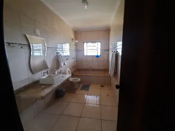 Alugar Rural / Ch&aacute;cara em S&atilde;o Jos&eacute; do Rio Preto R$ 10.000,00 - Foto 21