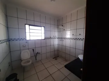 Alugar Rural / Ch&aacute;cara em S&atilde;o Jos&eacute; do Rio Preto R$ 10.000,00 - Foto 22