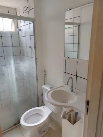 Alugar Apartamento / Padr&atilde;o em S&atilde;o Jos&eacute; do Rio Preto R$ 1.100,00 - Foto 3
