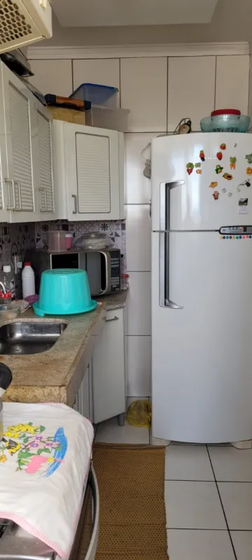 Alugar Apartamento / Cobertura em S&atilde;o Jos&eacute; do Rio Preto R$ 2.500,00 - Foto 5