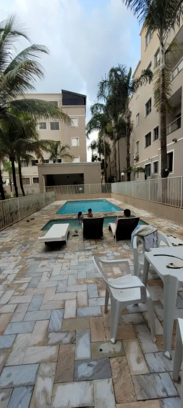 Alugar Apartamento / Cobertura em S&atilde;o Jos&eacute; do Rio Preto R$ 2.500,00 - Foto 12
