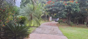 Alugar Rural / Ch&aacute;cara em S&atilde;o Jos&eacute; do Rio Preto R$ 5.000,00 - Foto 15