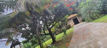 Alugar Rural / Ch&aacute;cara em S&atilde;o Jos&eacute; do Rio Preto R$ 5.000,00 - Foto 2