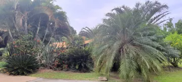 Alugar Rural / Ch&aacute;cara em S&atilde;o Jos&eacute; do Rio Preto R$ 5.000,00 - Foto 16