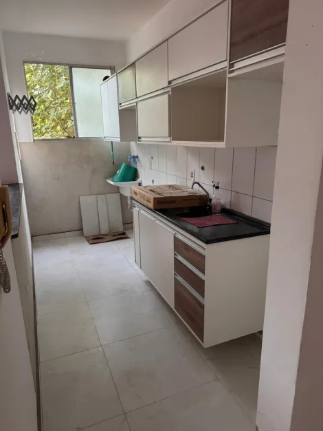Alugar Apartamento / Padr&atilde;o em S&atilde;o Jos&eacute; do Rio Preto R$ 800,00 - Foto 7