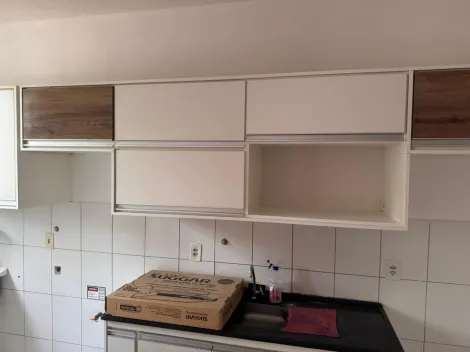 Alugar Apartamento / Padr&atilde;o em S&atilde;o Jos&eacute; do Rio Preto R$ 800,00 - Foto 8