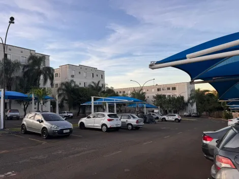 Alugar Apartamento / Padr&atilde;o em S&atilde;o Jos&eacute; do Rio Preto R$ 800,00 - Foto 12