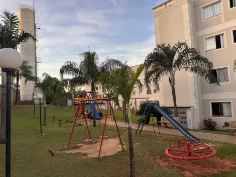 Alugar Apartamento / Padr&atilde;o em S&atilde;o Jos&eacute; do Rio Preto R$ 800,00 - Foto 13