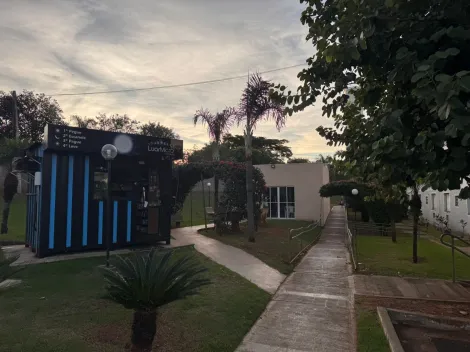 Alugar Apartamento / Padr&atilde;o em S&atilde;o Jos&eacute; do Rio Preto R$ 800,00 - Foto 14