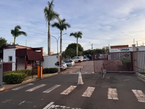 Alugar Apartamento / Padr&atilde;o em S&atilde;o Jos&eacute; do Rio Preto R$ 800,00 - Foto 15