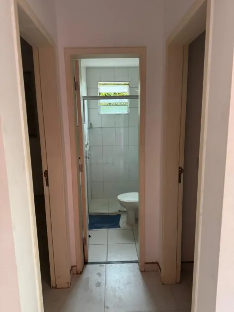 Alugar Apartamento / Padr&atilde;o em S&atilde;o Jos&eacute; do Rio Preto R$ 800,00 - Foto 19