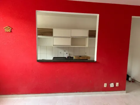 Alugar Apartamento / Padr&atilde;o em S&atilde;o Jos&eacute; do Rio Preto R$ 800,00 - Foto 20